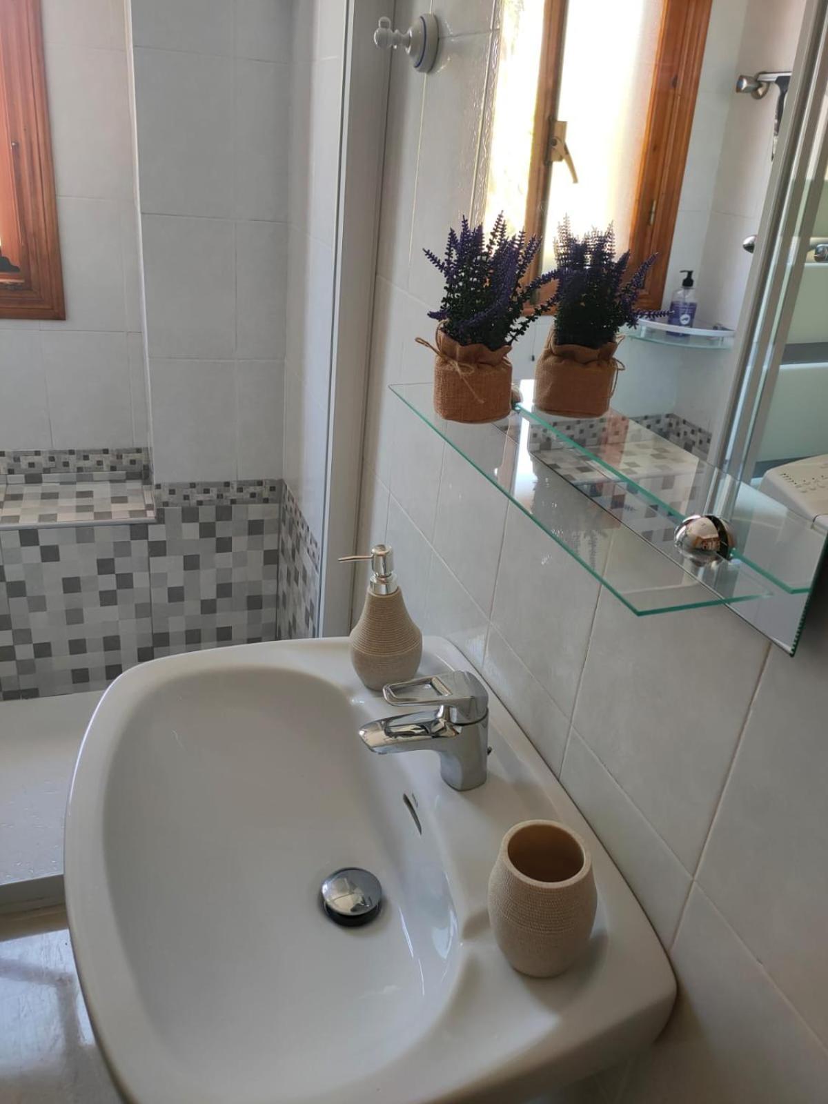 Apartment Estrella De *
